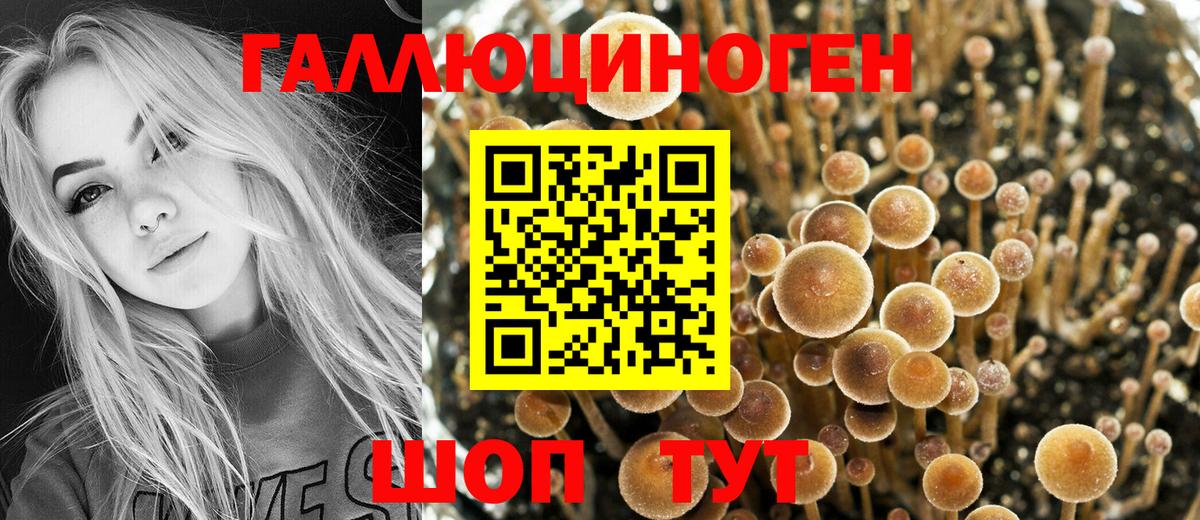 Псилоцибиновые грибы мухоморы Лангепас