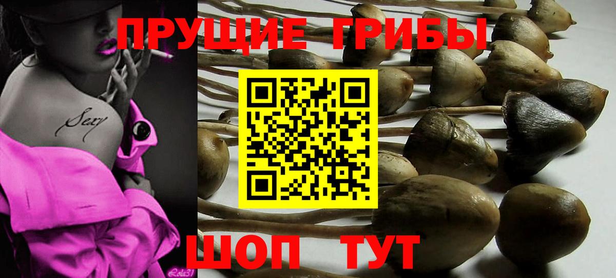 Галлюциногенные грибы Cubensis  Вход с VPN  Лангепас 